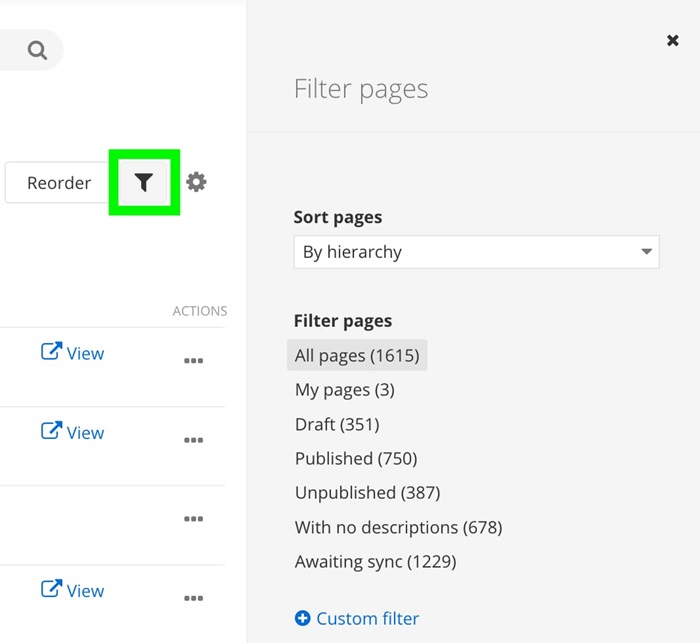 14.4 page filters button and panel