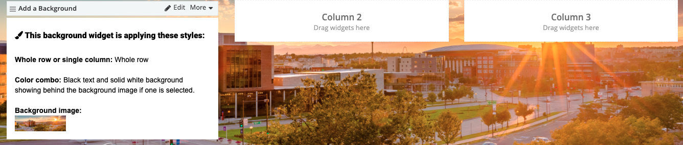Preview of background widget settings 