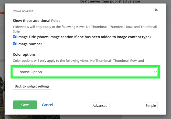 Color options for image galleries