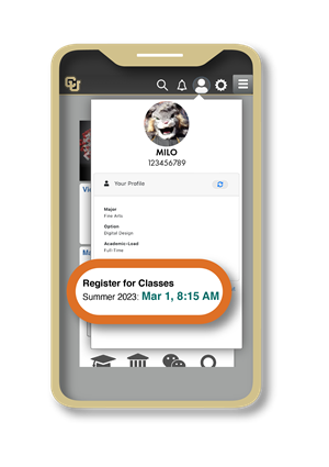 Registration-Date Screenshot of the UCDAccess student portal student profile section