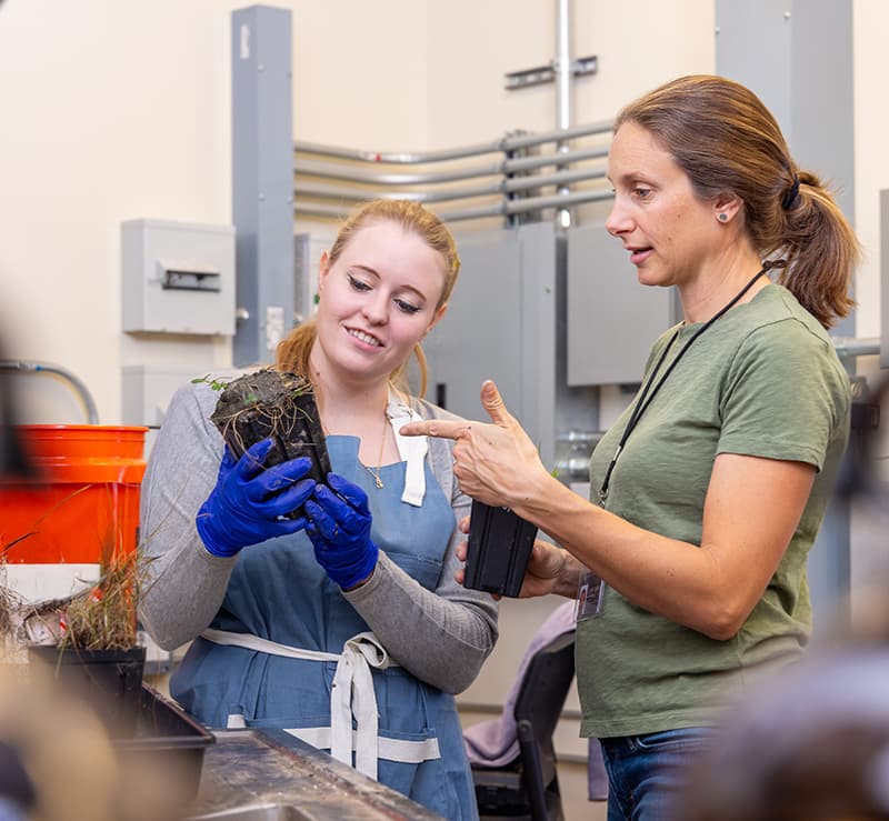 Two women working together, one is wearing gloves and holding a plant specimen.