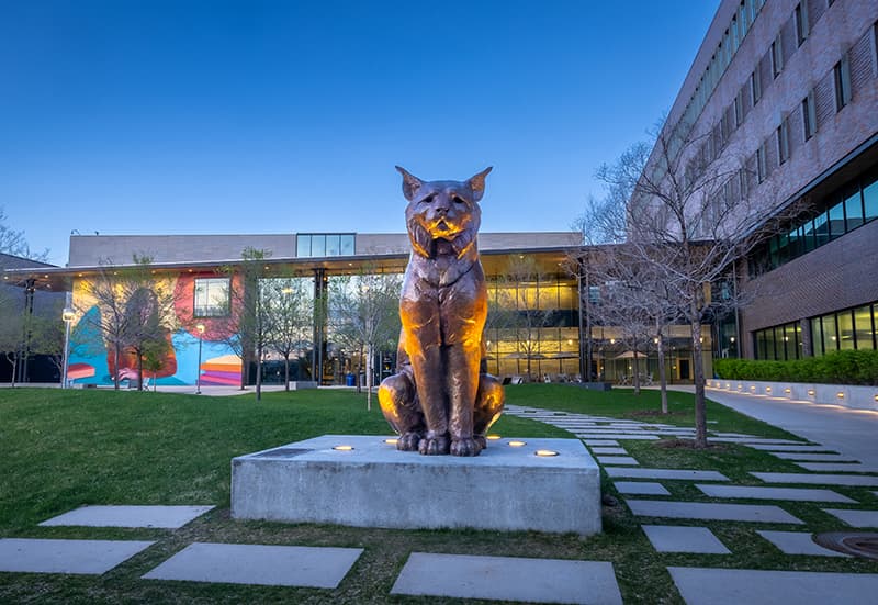 Bronze statue of a seated Lynx in a green terrace at dusk.