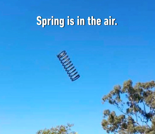 Spring is in the air.