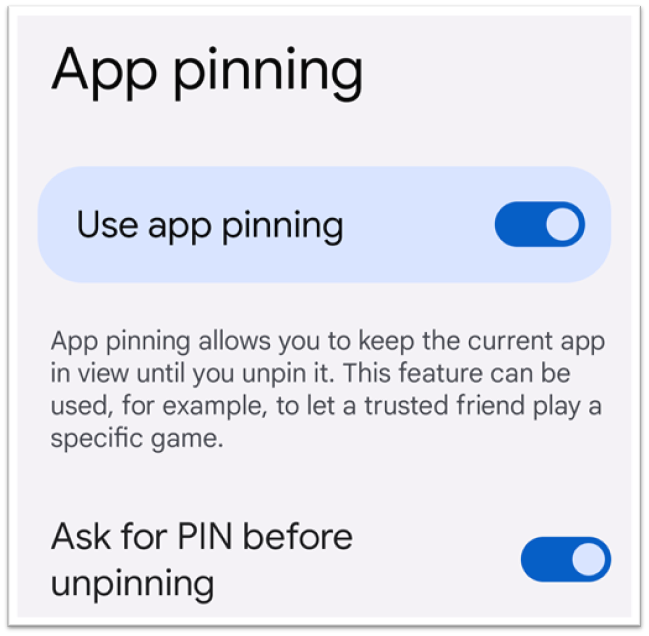 app pinning settings