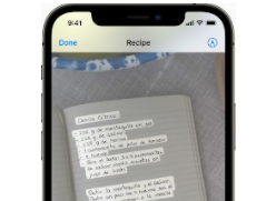 iOS Live Text